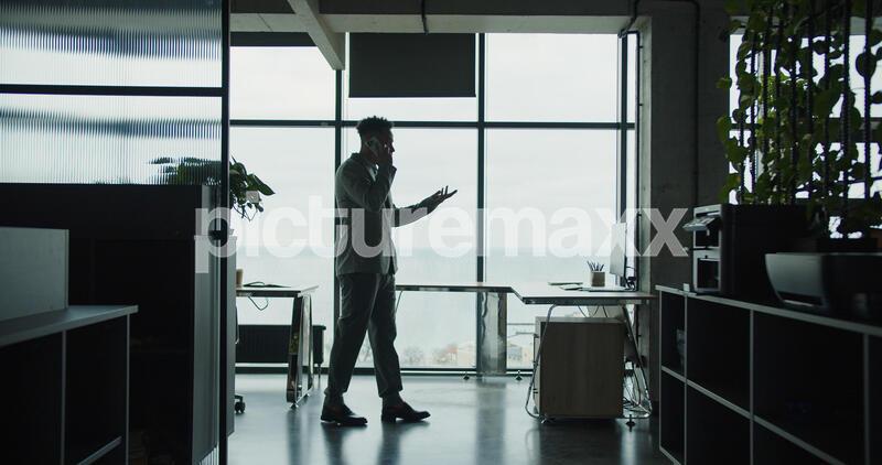 A silhouette of a businessman in a modern office, speaking on the phone while gesturing expressively. The room features large windows with a panoramic city and sea view.
