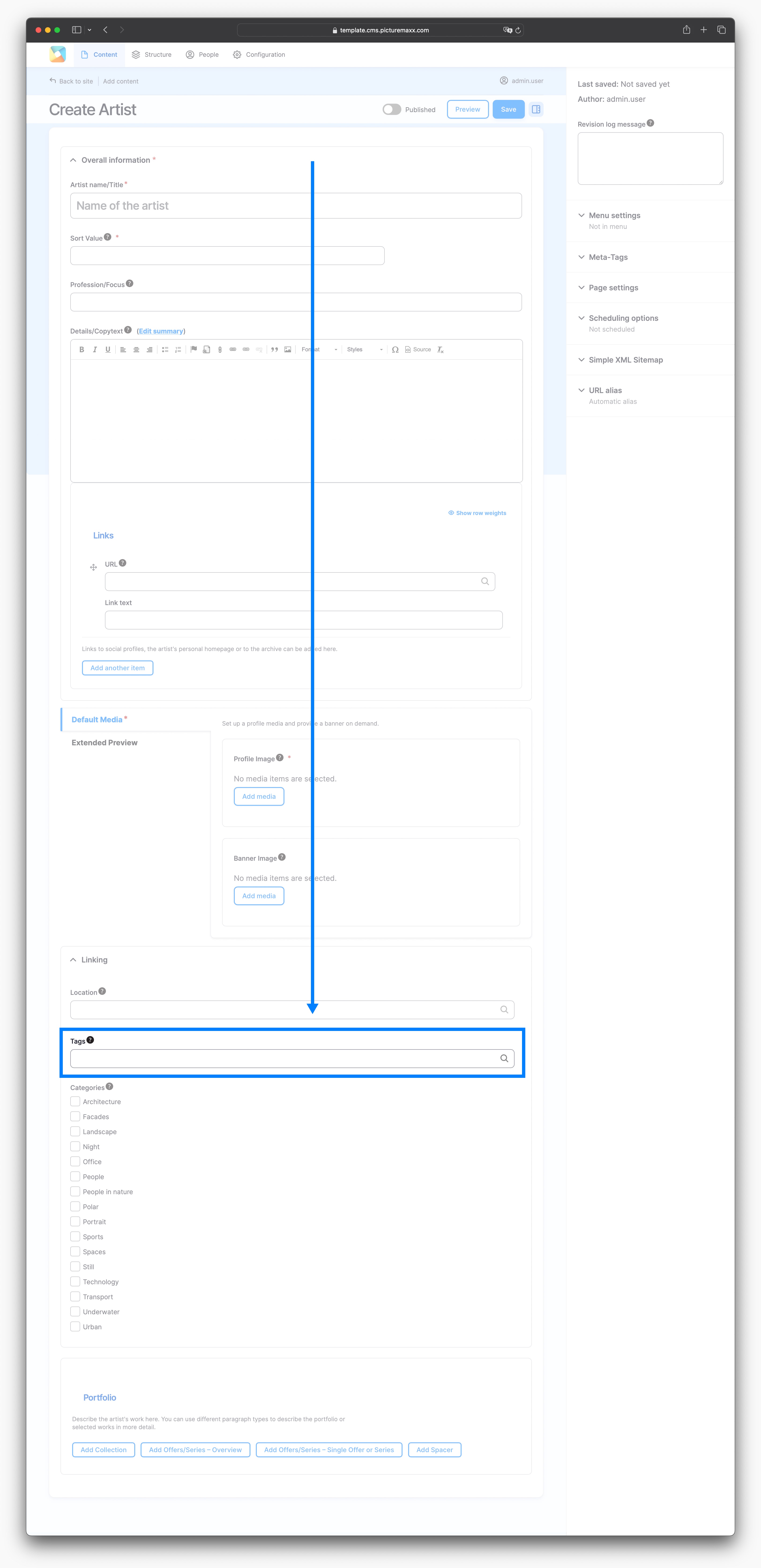 Screenshot of the setup page for an artist, highlighting the tags text field.. 