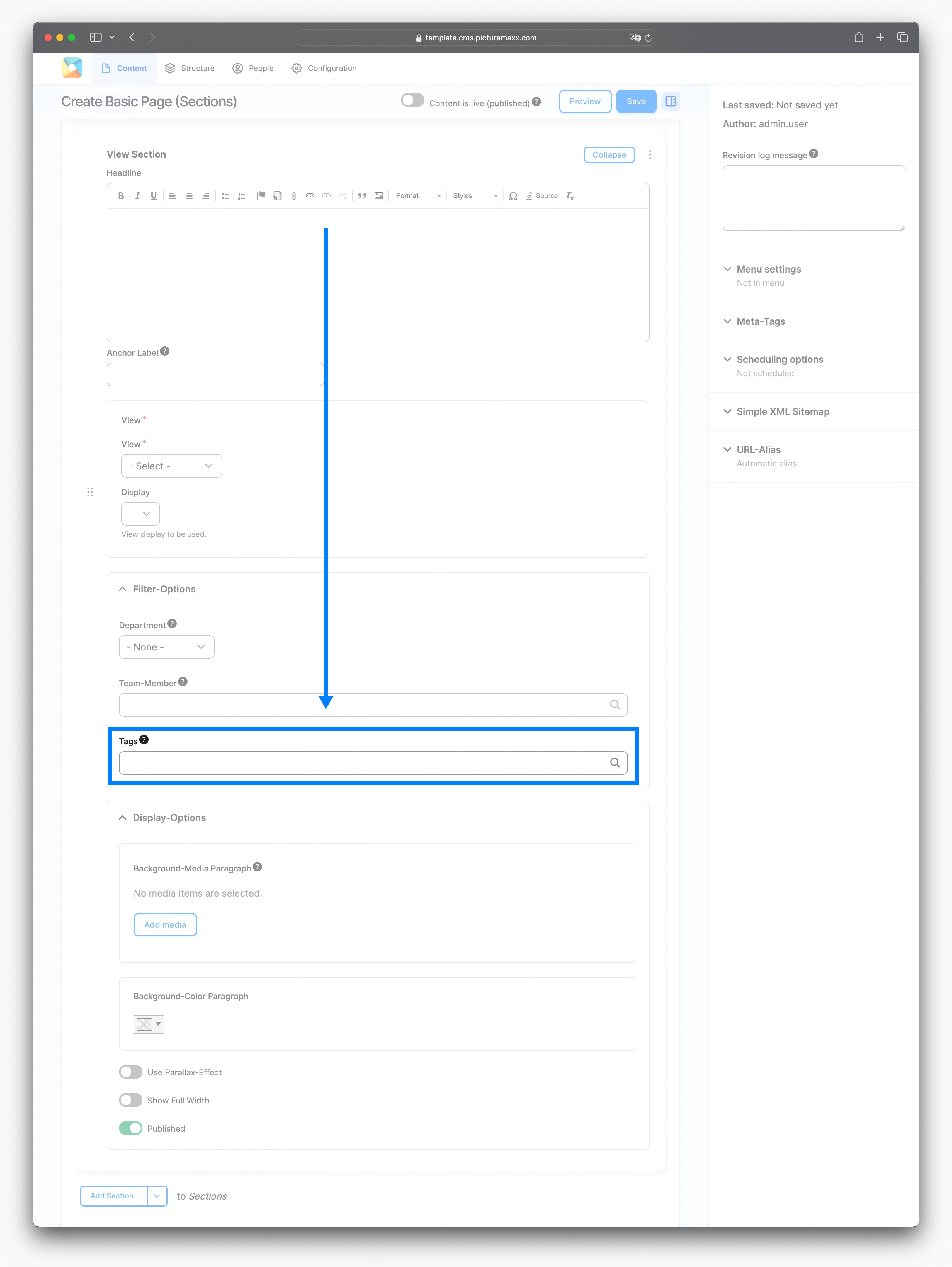 Screenshot of the setup page of a View Section, highlighting the Tags text field.