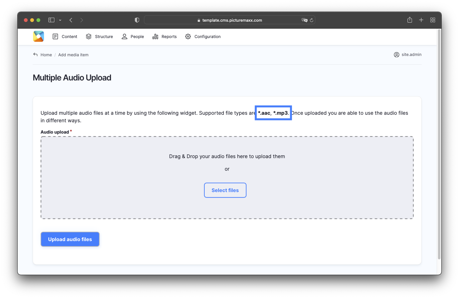 Screenshot of the 'upload audio' area. 