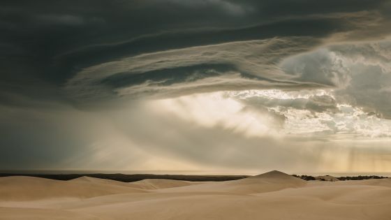 adobestock_218816131.jpeg
