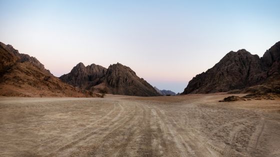 adobestock_226980724.jpeg
