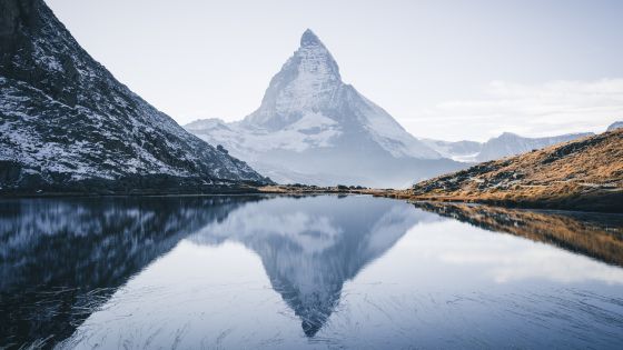 adobestock_235281343.jpeg