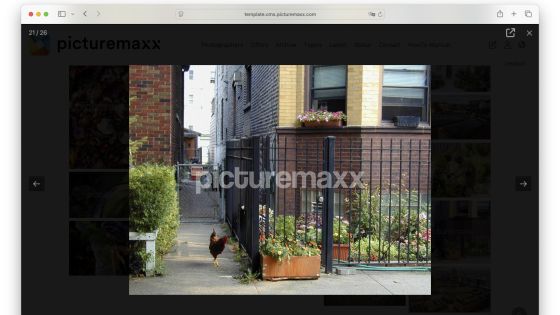 Screenshot of the picturemaxx Drupal demo page.