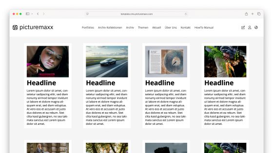 Screenshot of the picturemaxx Drupal demo page.