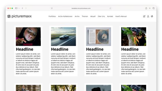 Screenshot of the picturemaxx Drupal demo page.
