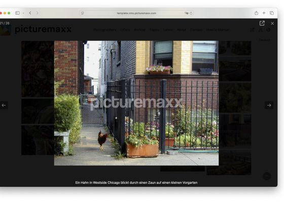 Screenshot of the picturemaxx Drupal demo page.
