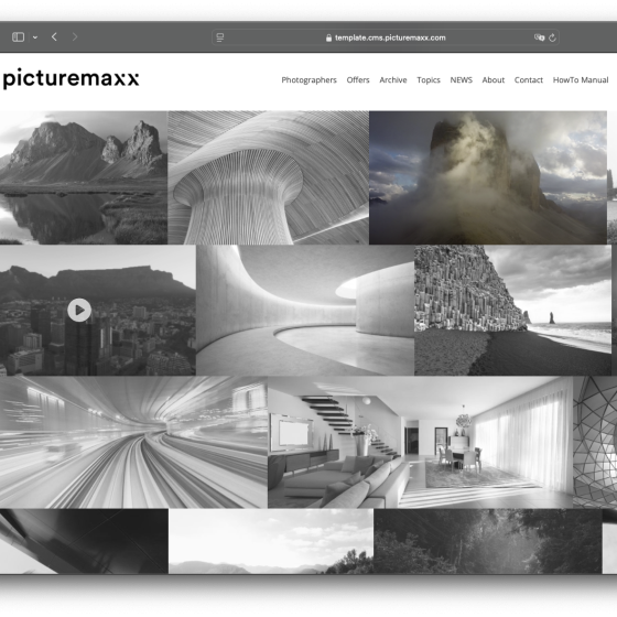 Screenshot of a Collection including videos.