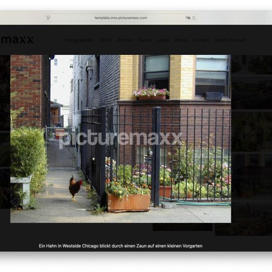 Screenshot of the picturemaxx Drupal demo page.