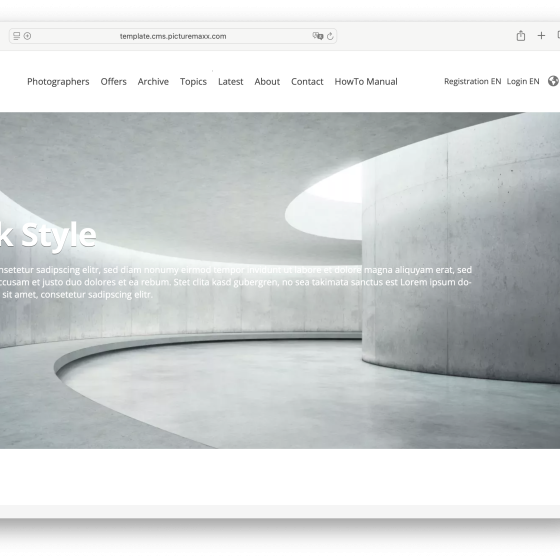 Screenshot of the picturemaxx Drupal demo page.
